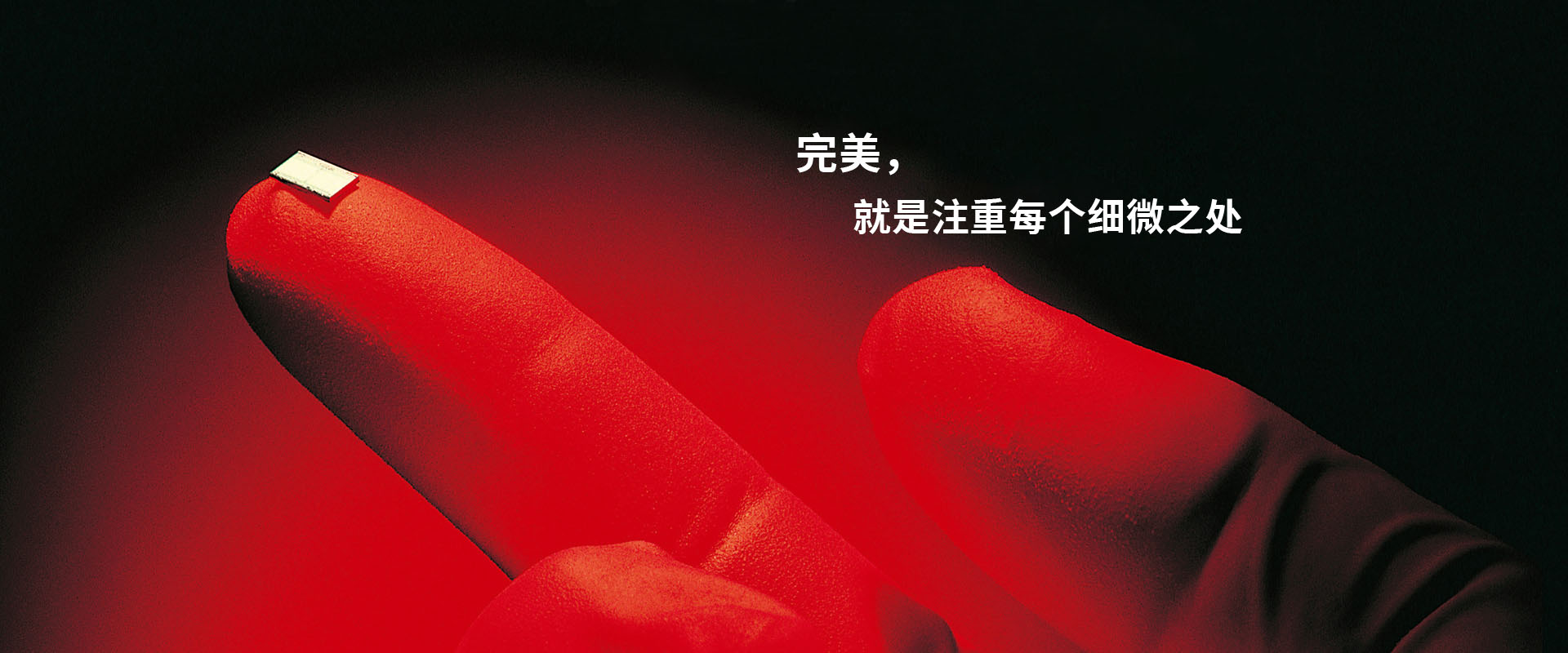 寧波開關電器制造有限公司